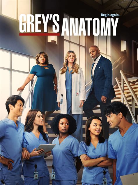 greys anatomy chanel|5 16 24 greys anatomy.